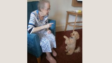 Four-legged friend delights at Penrith care home